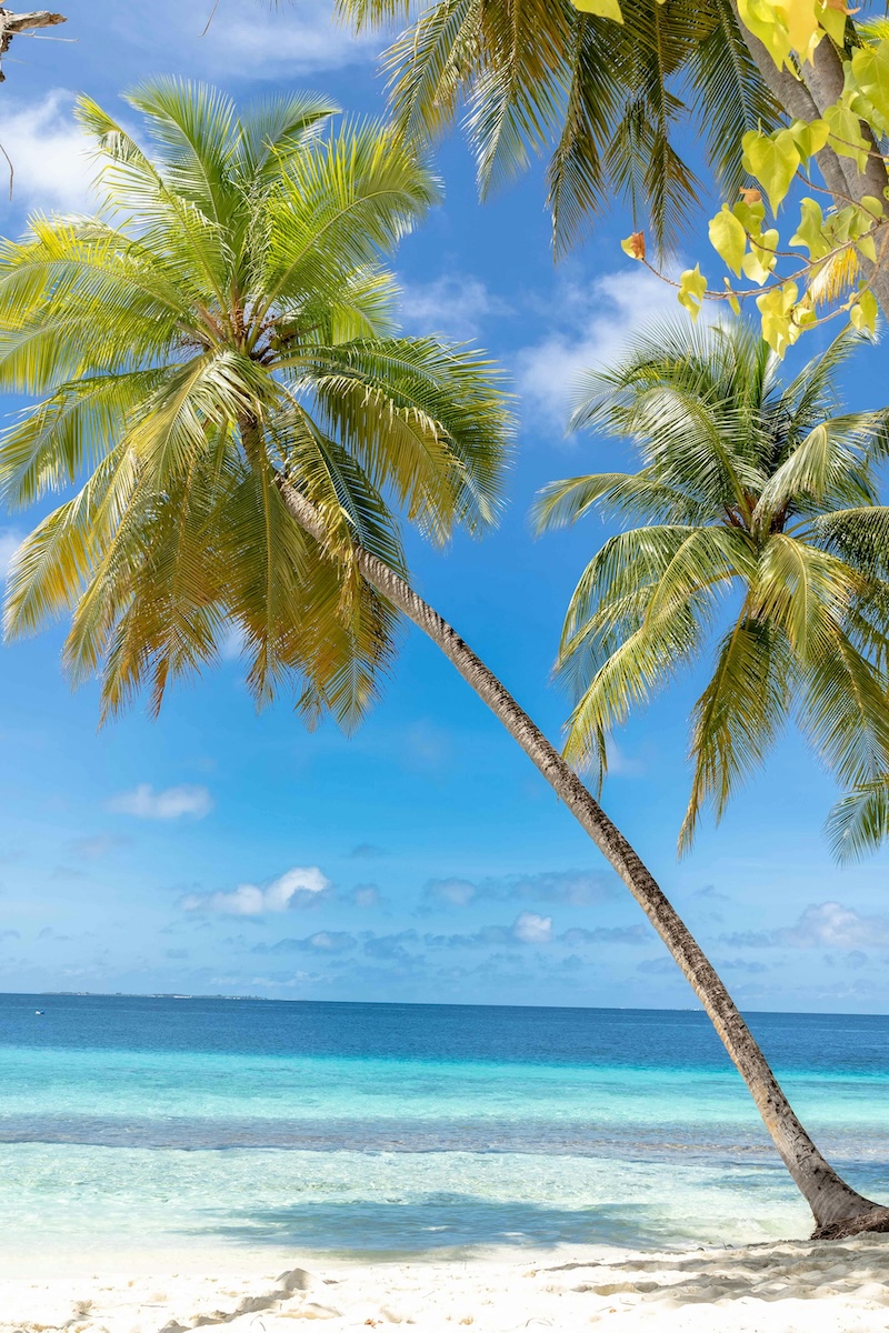 Scenic view of Koh Larn Island with turquoise sea and white sandy beach